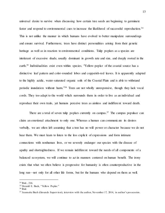 trees structure and function abbreviation importance of trees essay 150 words